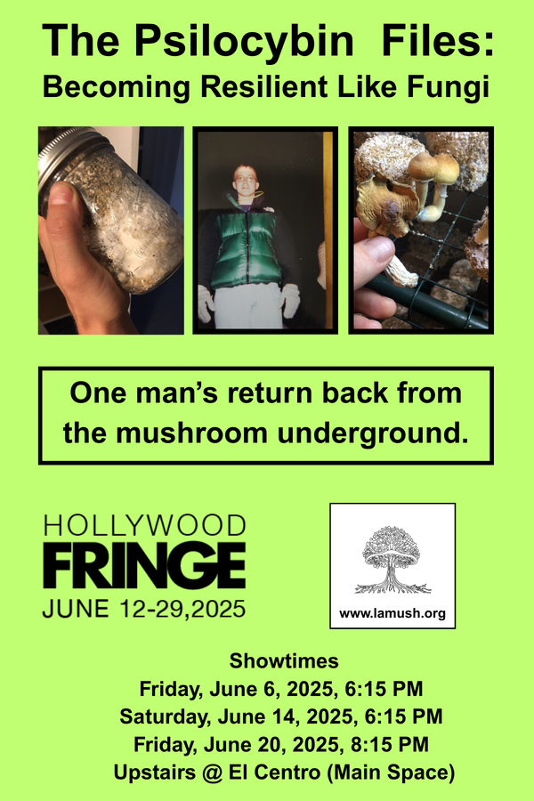 World Mycelium Storytelling Night Redux